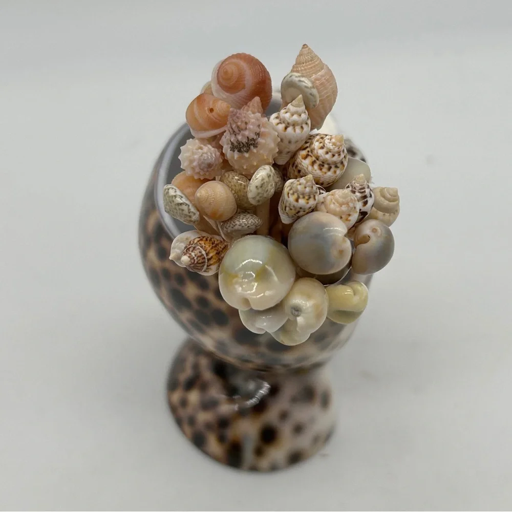 Seashell Toothpick Holder Cocktail Picks NEW